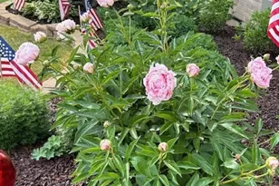 1303 Morning Dove Ln, Antioch, IL 60002 - Photo 31