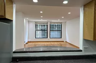 431 S Dearborn St, Chicago, IL 60605 - Photo 7