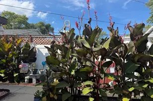 165 S Madison Ave, Bradley, IL 60915 - Photo 17