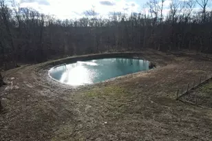 9576 State Rte 161 Ext, Iuka, IL 62849 - Photo 43