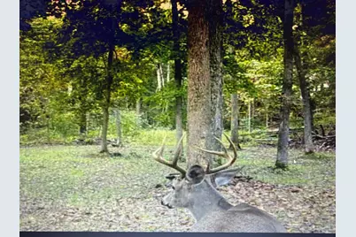 9576 State Route 161 Extension, Iuka, IL 62849 - Photo 15