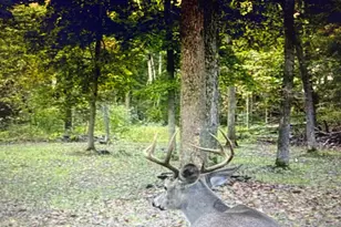 9576 State Rte 161 Ext, Iuka, IL 62849 - Photo 15