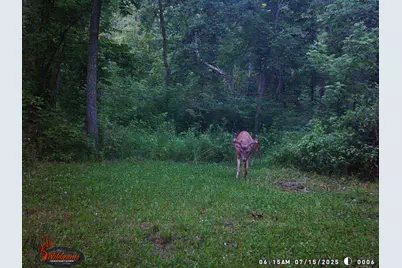 9576 State Route 161 Extension, Iuka, IL 62849 - Photo 21