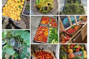 404 Caesar Dr, Barrington Hills, IL 60010 - Photo 49