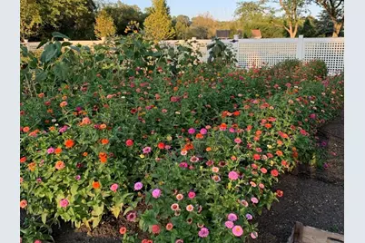 404 Caesar Drive, Barrington Hills, IL 60010 - Photo 47