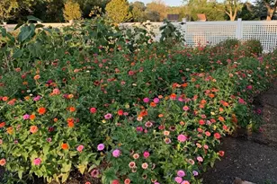 404 Caesar Dr, Barrington Hills, IL 60010 - Photo 47