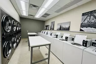 88 W Schiller St, Chicago, IL 60610 - Photo 21