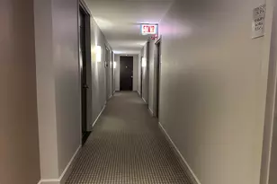 88 W Schiller St, Chicago, IL 60610 - Photo 5