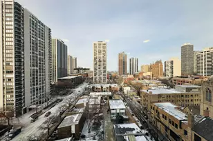 88 W Schiller St, Chicago, IL 60610 - Photo 15