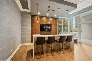 55 E Erie St, Chicago, IL 60611 - Photo 23