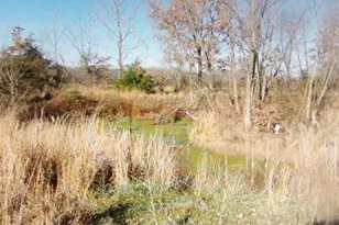 465 Tipple Rd, Carrier Mills, IL 62917 - Photo 11