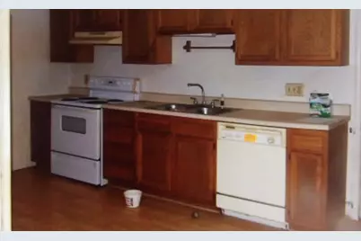 465 Tipple Road, Carrier Mills, IL 62917 - Photo 3