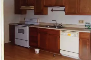 465 Tipple Rd, Carrier Mills, IL 62917 - Photo 3