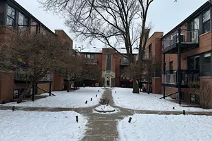 7334 N Winchester Ave, Chicago, IL 60626 - Photo 1