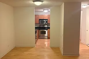 30 E Huron St, Chicago, IL 60611 - Photo 11