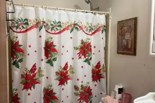 809 Thompson Ave, Winthrop Harbor, IL 60096 - Photo 11