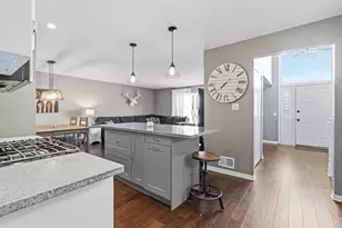 10641 Rachel Ln, Orland Park, IL 60467 - Photo 3