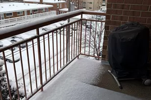 1349 E Washington St, Des Plaines, IL 60016 - Photo 9