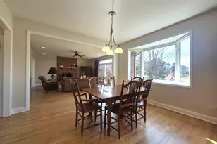 22648 Maddeline Ln, Frankfort, IL 60423 - Photo 13