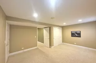 22648 Maddeline Ln, Frankfort, IL 60423 - Photo 63