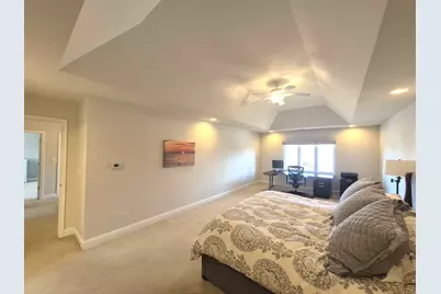 22648 Maddeline Lane, Frankfort, IL 60423 - Photo 29