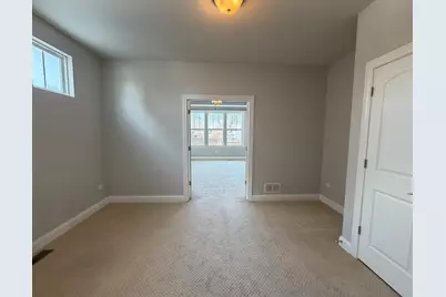 3907 Nannyberry Street, Naperville, IL 60564 - Photo 23