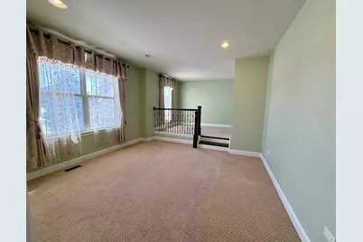 3907 Nannyberry Street, Naperville, IL 60564 - Photo 19