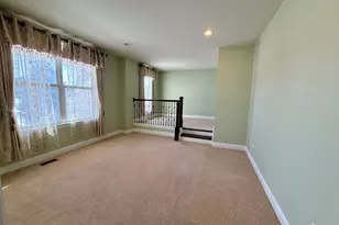 3907 Nannyberry St, Naperville, IL 60564 - Photo 19