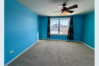 3907 Nannyberry Street, Naperville, IL 60564 - Photo 31