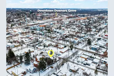 623 Franklin Street, Downers Grove, IL 60515 - Photo 41