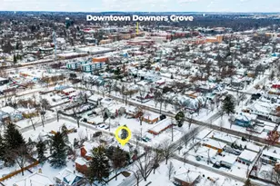 623 Franklin St, Downers Grove, IL 60515 - Photo 41