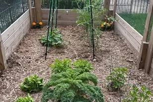 623 Franklin St, Downers Grove, IL 60515 - Photo 49