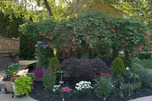 623 Franklin St, Downers Grove, IL 60515 - Photo 43