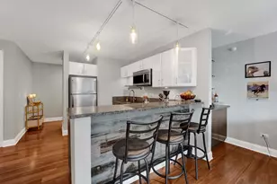 2 E Erie St, Chicago, IL 60611 - Photo 3