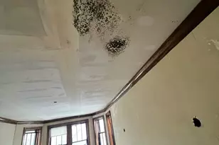 3827 W Fillmore St, Chicago, IL 60624 - Photo 9