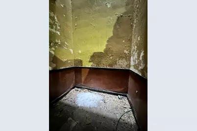 3827 W Fillmore Street, Chicago, IL 60624 - Photo 19