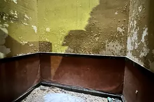 3827 W Fillmore St, Chicago, IL 60624 - Photo 19