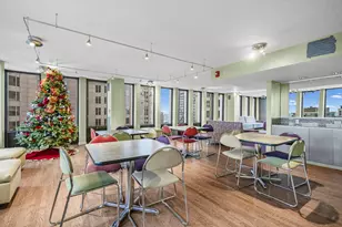 100 E Walton St, Chicago, IL 60611 - Photo 35