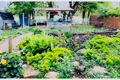 1826 Sycamore Road, Homewood, IL 60430 - Photo 47