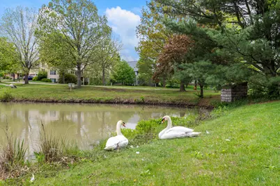 2410 Wendover Place, Champaign, IL 61822 - Photo 61