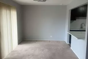 287 Pembridge Ln, Schaumburg, IL 60193 - Photo 3