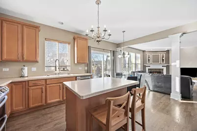 133 N Cranberry Street, Bolingbrook, IL 60490 - Photo 13