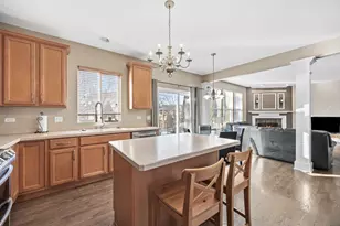 133 N Cranberry St, Bolingbrook, IL 60490 - Photo 13