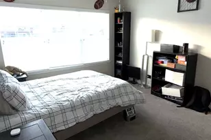 133 River Mist Dr, Oswego, IL 60543 - Photo 19