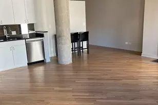 411 W Ontario St, Chicago, IL 60654 - Photo 5