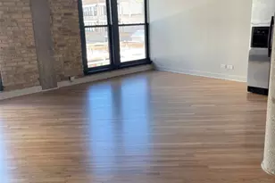 411 W Ontario St, Chicago, IL 60654 - Photo 3