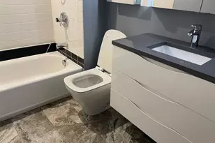 411 W Ontario St, Chicago, IL 60654 - Photo 11