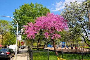 3106 S Wells St, Chicago, IL 60616 - Photo 15