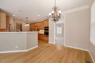 7 Chaco Ct, South Barrington, IL 60010 - Photo 13