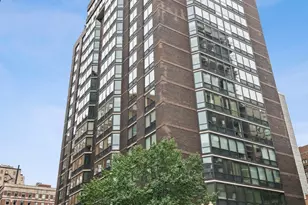 21 W Goethe St, Chicago, IL 60610 - Photo 1